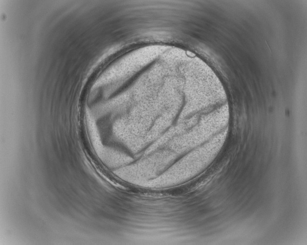 X0000085800439200704131925