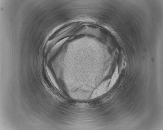 X0000085800440200704131925