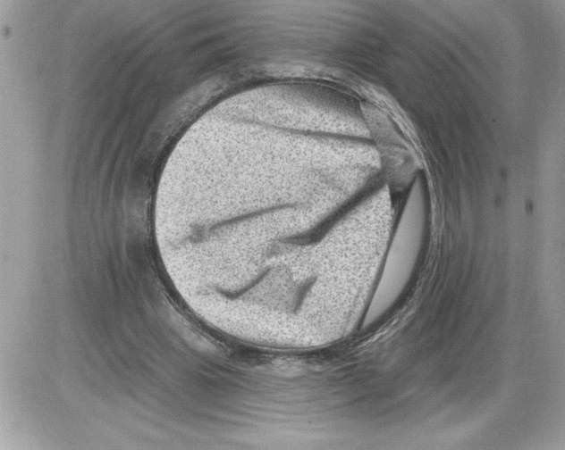 X0000085800441200704131925