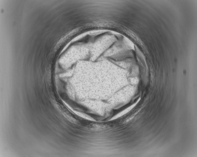 X0000085800442200704131925