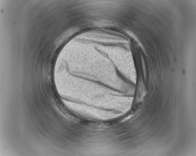 X0000085800443200704131925