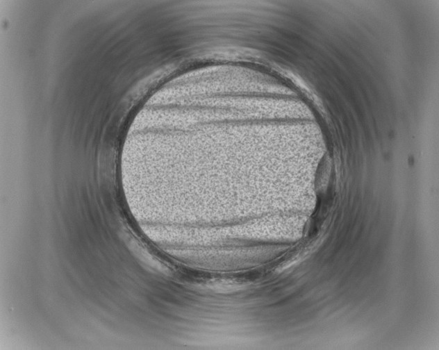 X0000085800445200704131925