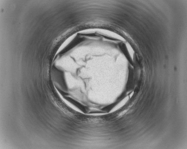 X0000085800446200704131925