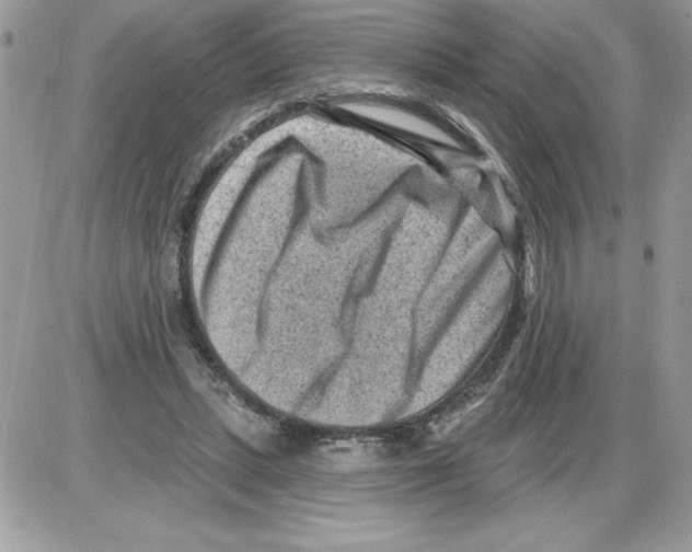 X0000085800447200704131925