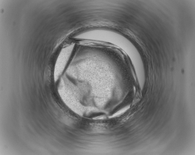 X0000085800448200704131925