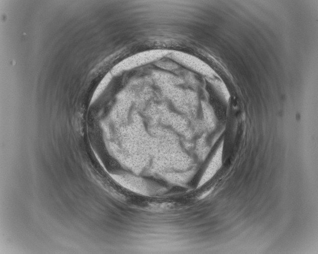 X0000085800450200704131925