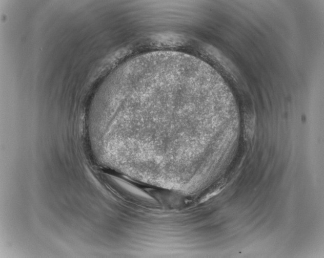 X0000085800451200704131925