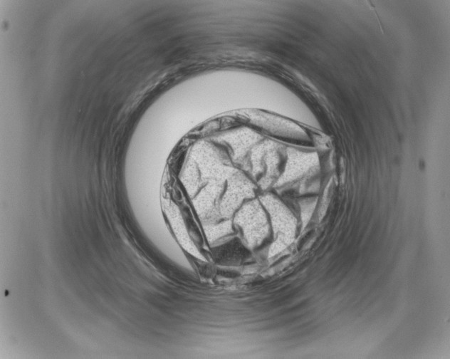 X0000085800452200704131925