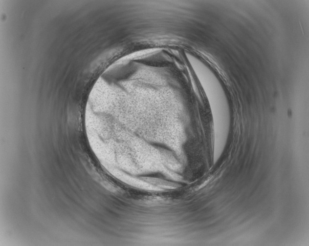 X0000085800453200704131925