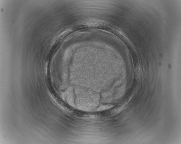 X0000085800454200704131925