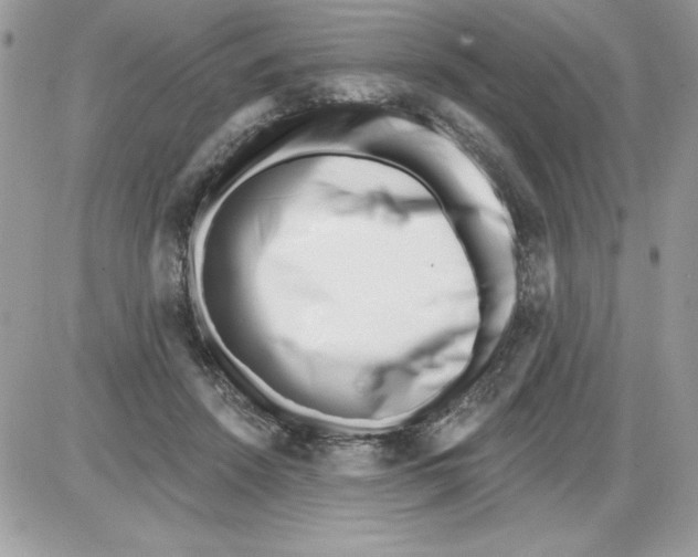 X0000085800456200704131925