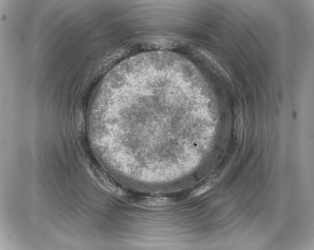 X0000085800459200704131925