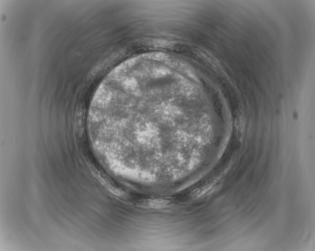 X0000085800462200704131925