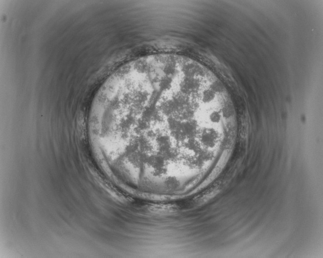 X0000085800465200704131925