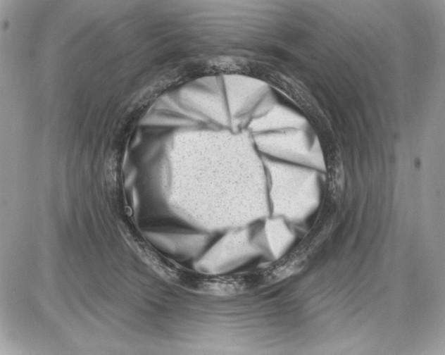 X0000085800466200704131925