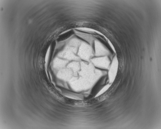 X0000085800470200704131925