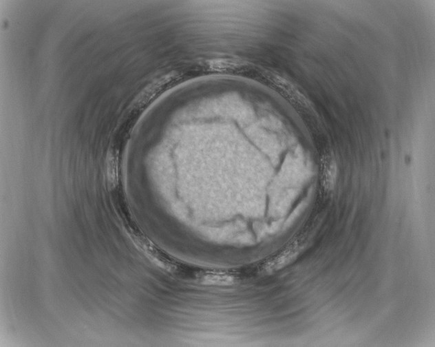 X0000085800471200704131925