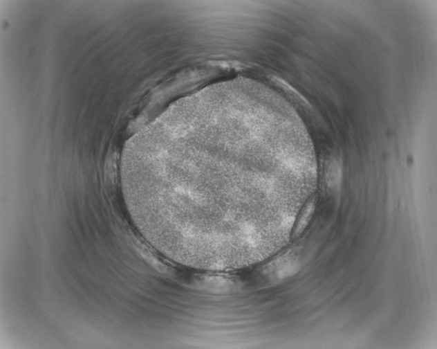 X0000085800475200704131925