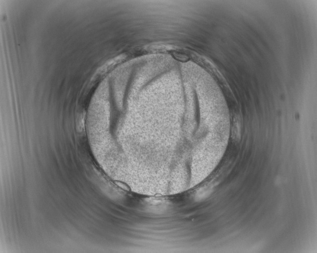 X0000085800477200704131926