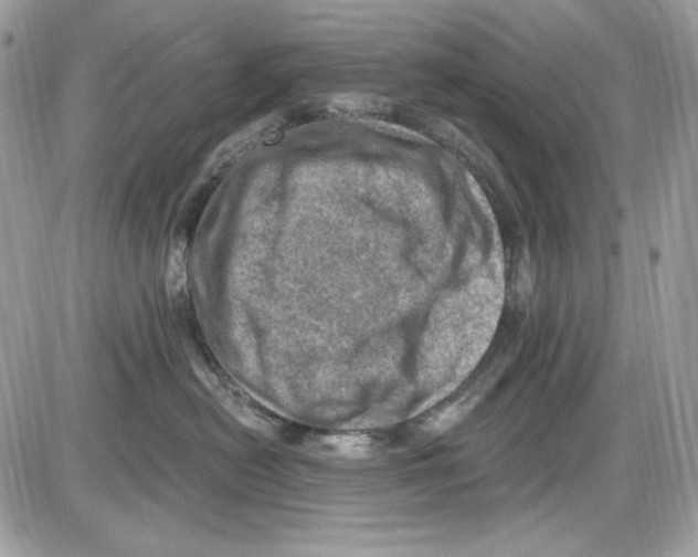 X0000085800478200704131926