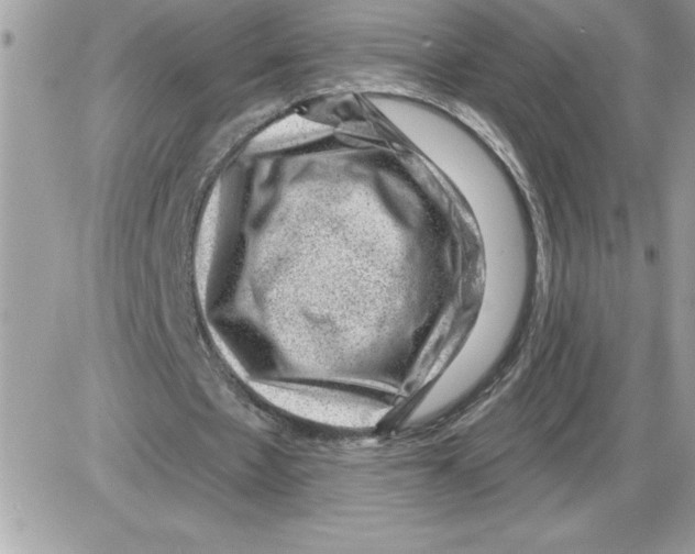 X0000085800481200704131925