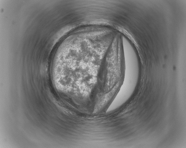 X0000085800483200704131925