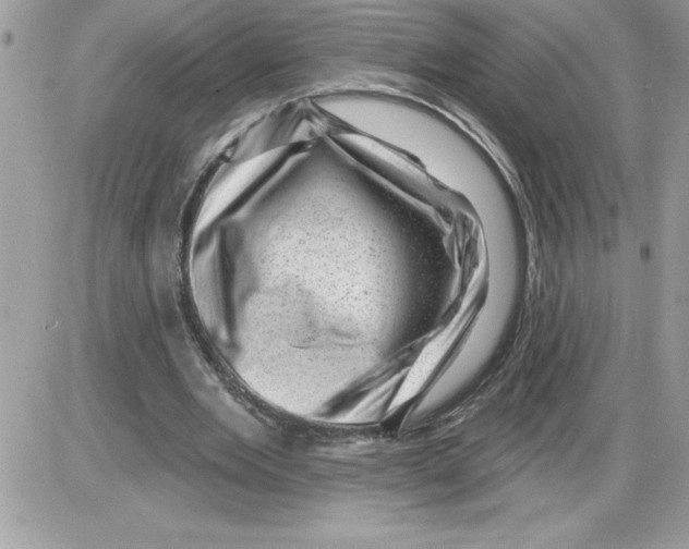 X0000085800485200704131925