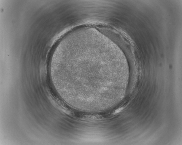 X0000085800488200704131925