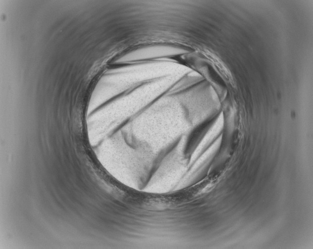 X0000085800489200704131925