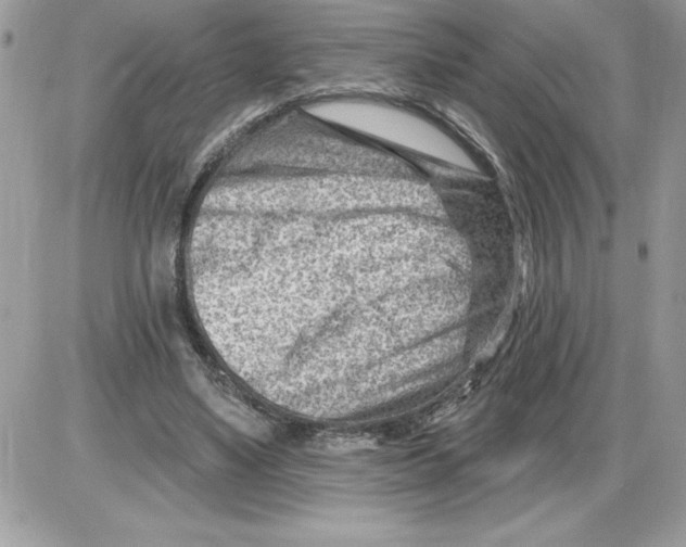 X0000085800491200704131925