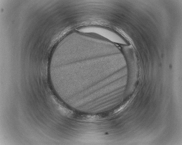 X0000085800493200704131925