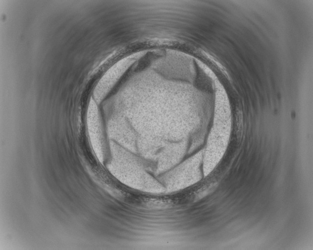 X0000085800494200704131925