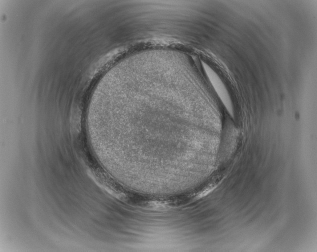 X0000085800496200704131925