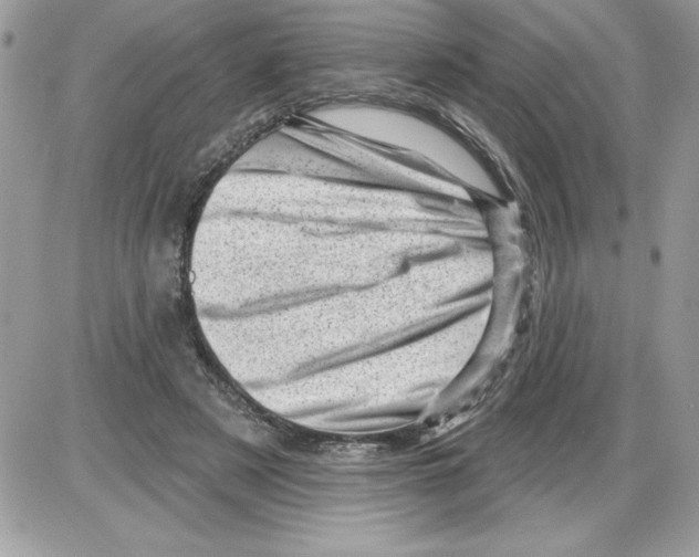 X0000085800497200704131925