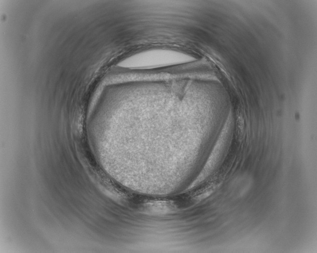 X0000085800499200704131924