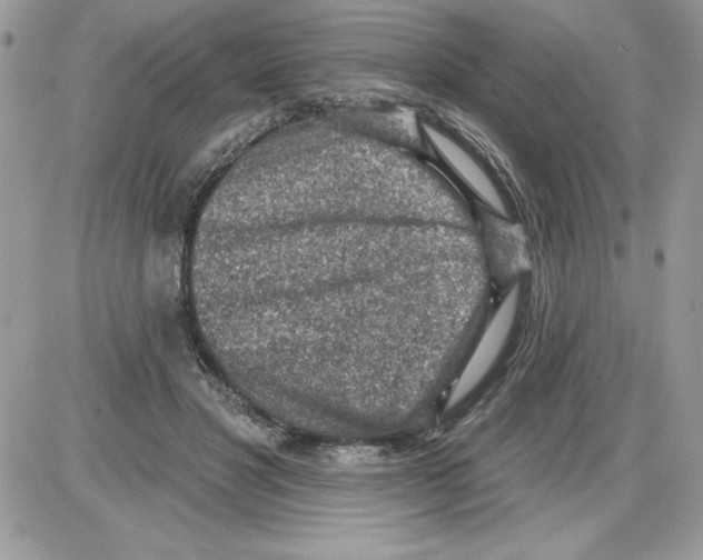 X0000085800501200704131924