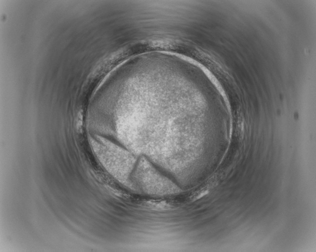 X0000085800502200704131924