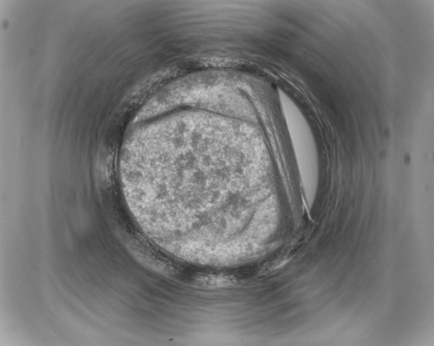 X0000085800503200704131924