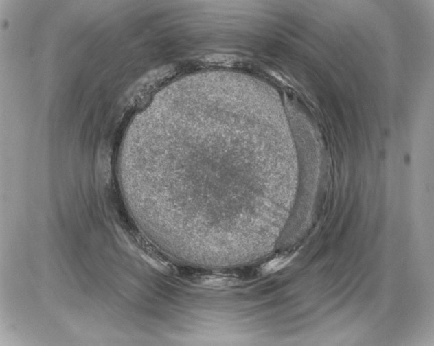 X0000085800504200704131924