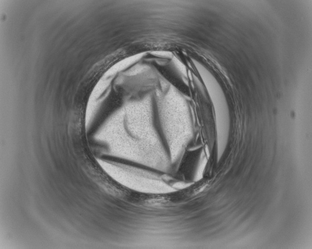 X0000085800505200704131924