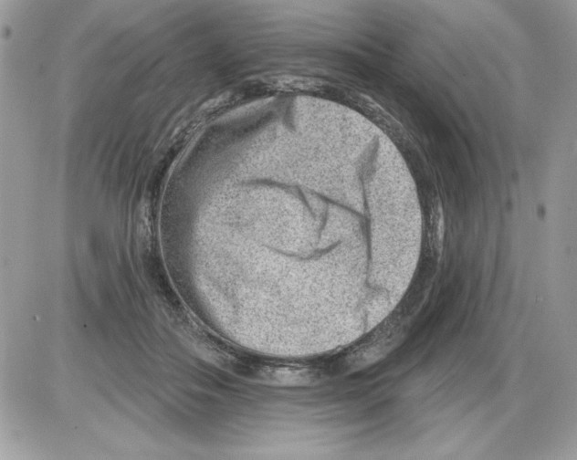 X0000085800506200704131924