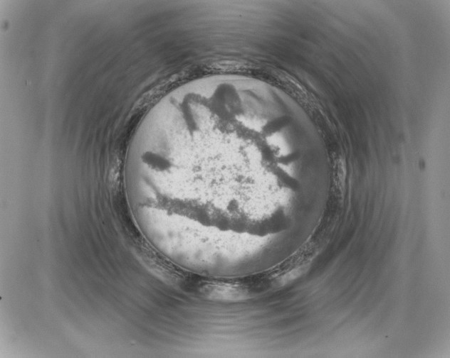 X0000085800507200704131924