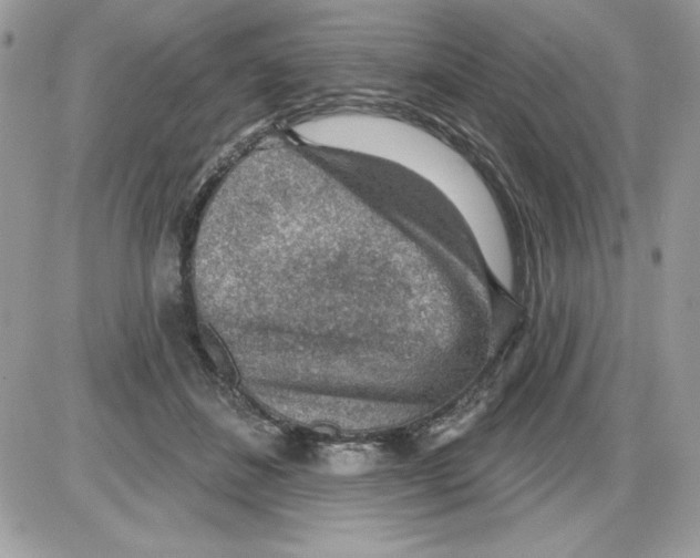 X0000085800508200704131924