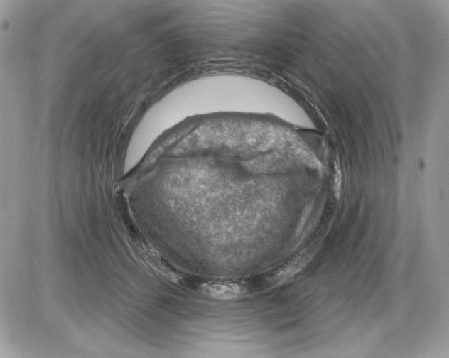 X0000085800512200704131924