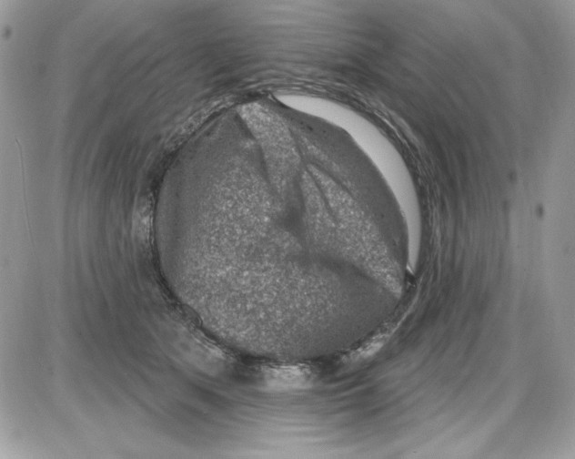 X0000085800513200704131924