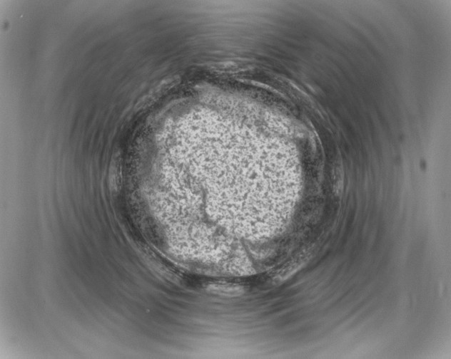 X0000085800515200704131924