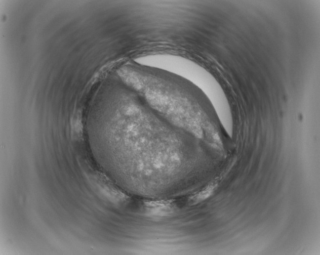 X0000085800516200704131924