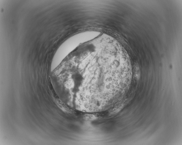 X0000085800519200704131924