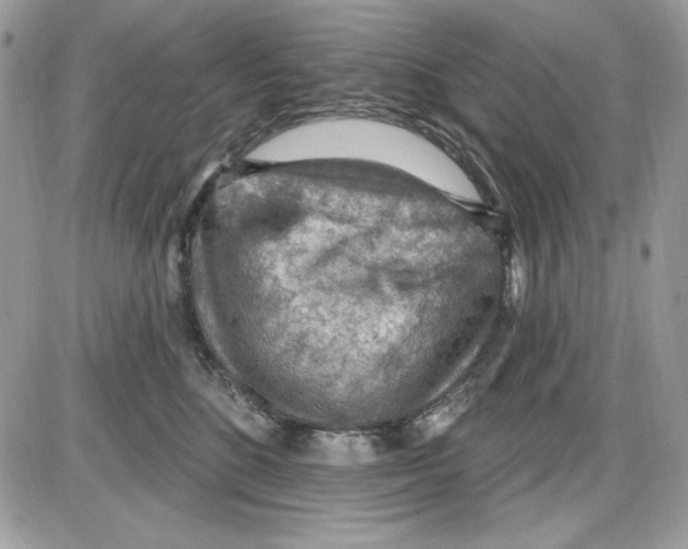 X0000085800520200704131924