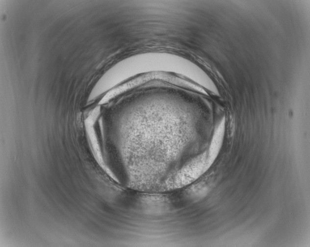 X0000085800521200704131924